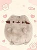 Soft Toy