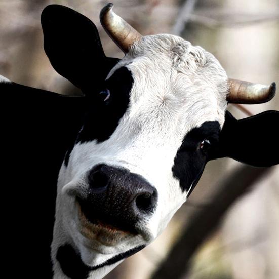 3D металлический настенный декор с животными, лошадь, корова, жираф, настенный кулон, нержавеющая кованая настенная статуя, произведение искусства, украшение для дома и улицы