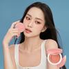 Artist Cushion Blush Blur