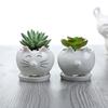 Европейский Мультяшный Котенок Mengmeng Белый Керамический Цветочный Горшок, Креативное Садоводство Балконный Горшок для Суккулентов Украшение