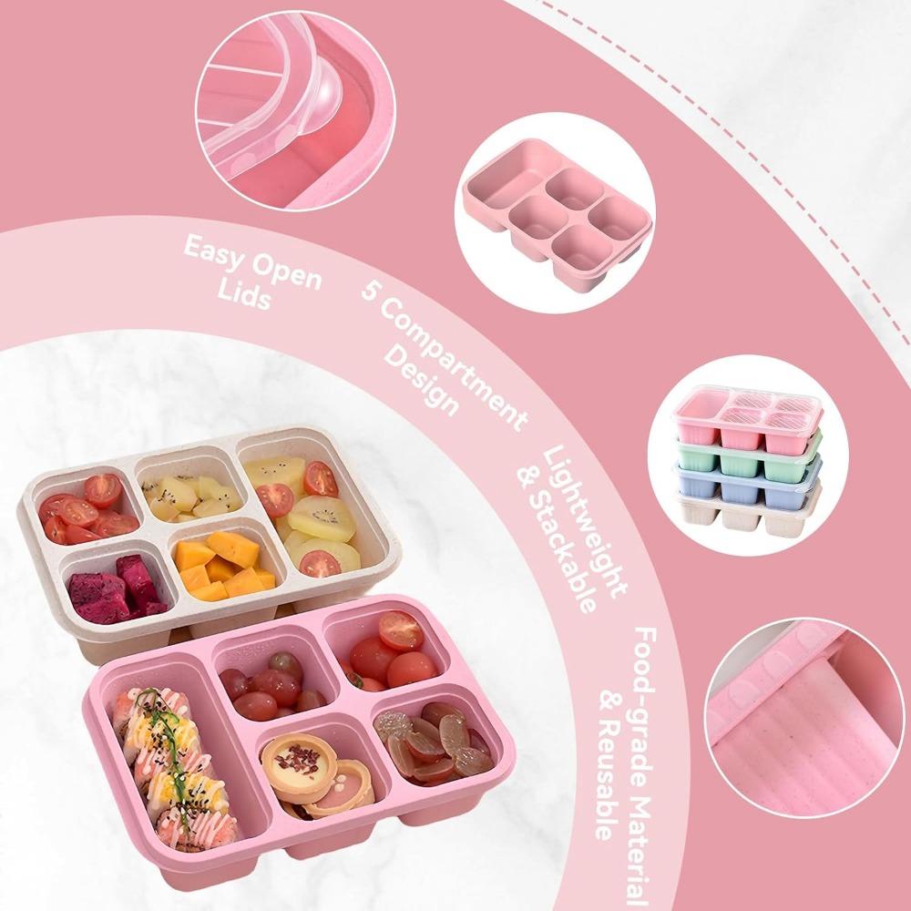 5-секционный многоразовый контейнер Bento Box с герметичной портативной крышкой для хранения продуктов питания, идеально подходящий для школы, работы, кемпинга и пикников