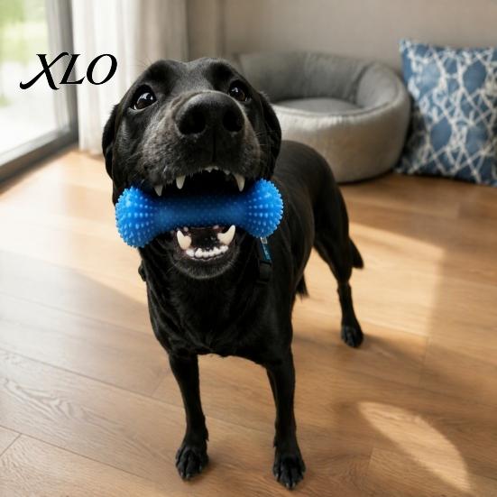 Puppy Teething Toy Dog Chew Toys for Aggressive Chewers, 2-in-1 Teeth Cleaning Dental Care with Squeaky Rope, Bone Shaped TPR Interactive Tough Medium
