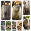 Capybara Phone Case for Iphone 5 5s 2020se 6 6s 7 8 Plus X 10 XR XS 11 12 13 Mini Pro MAX Black Tpu Back Cover