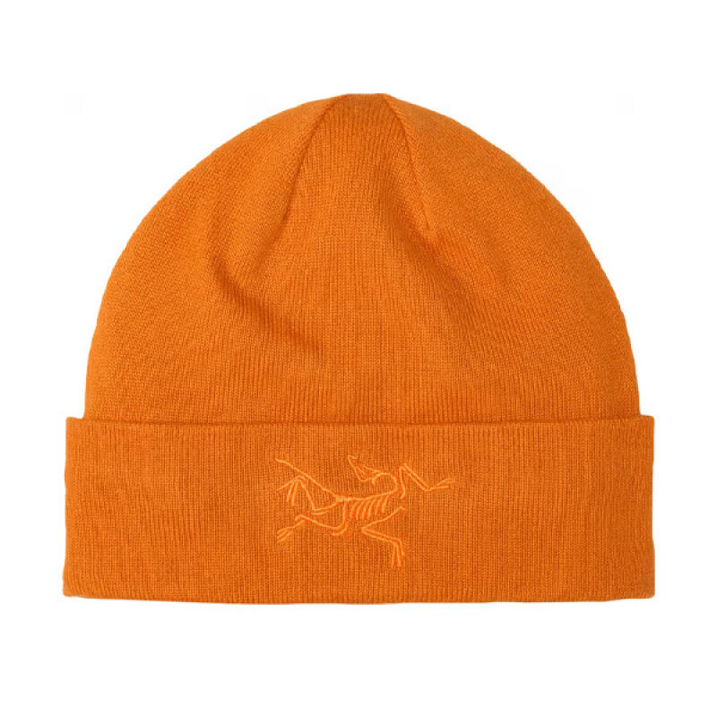 Шапка Arc'teryx Бини Птица Ток AEPFU10066/CSF