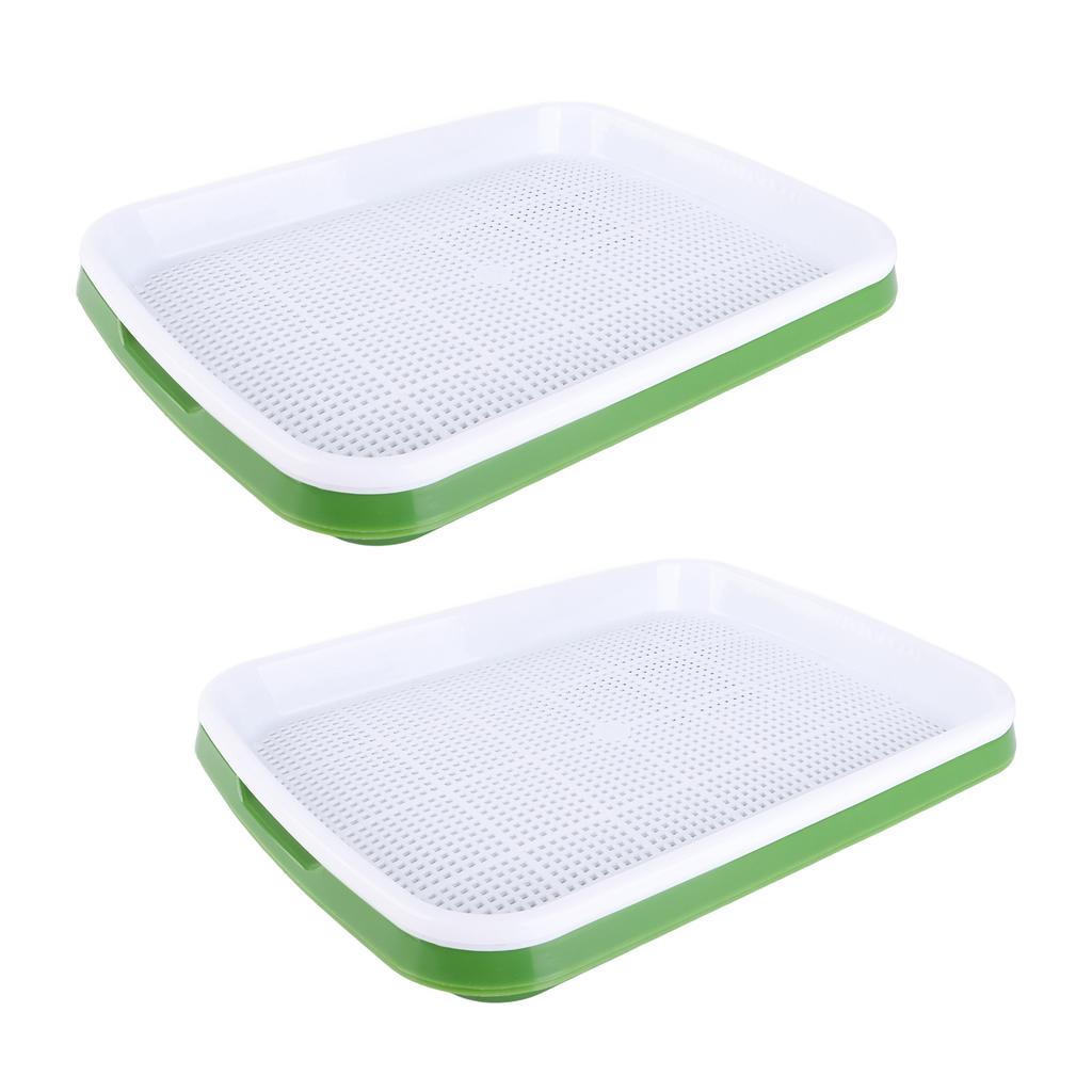Sprouting Tray Transparent Lid Dense Small Holes Fine Workmanship Plastic Material Seed Sprouter