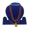 Rosary from Rudraksha (3 Mukhs), Rudraksha Mala 3 Mukhi (108+1 Beads), Divya Shakti