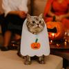 Felt Pet Cosplay Clothes Pumpkin Spider Halloween Cat Headgear  Halloween Party