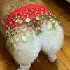 Dog Belly Dance Costume Corgi Dog Waist Chain Butt Curtain Clothes with