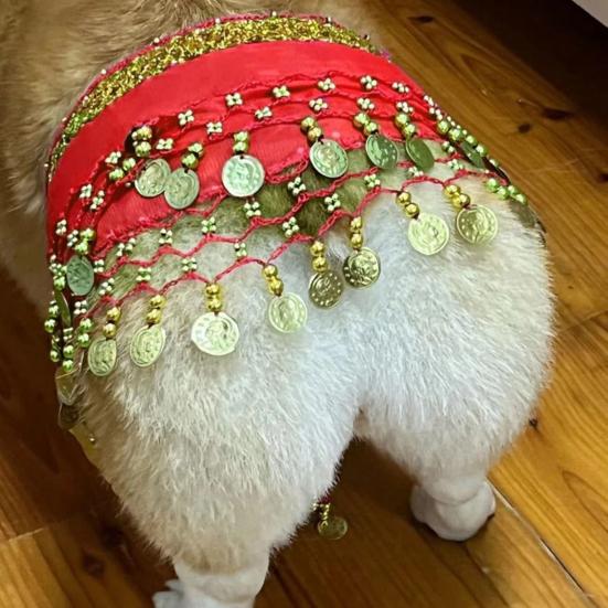 Dog Belly Dance Costume Corgi Dog Waist Chain Butt Curtain Clothes with