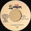 7inch Record FLEX (30) - Sex Her In The Morning NONE Don Corleon Rec 2008 Jamaica Reggae, Ska & Dub Used