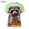 Fashion T-shirt Cute Animal Raccoon 3D Men's Casual Harajuku Print T Short-sleeved Summer Men's Shirt Loose and Comfortable