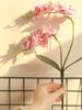 2Pcs 46cm Artificial Phalaenopsis Flower Real Touch Latex Butterfly Orchid Flores for Wedding Home Valentine's Day Decoration