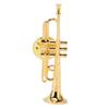 Gold Miniature Trumpet Shaped Lapel Brooch Pin Brass Exquisite Mini Musical Instrument Brooch with