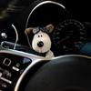Car Decoration Dolls Pilot Pawdog Steering Lights Wiper Wye Shield Ornament Cute Bowknot Dog Car Wiper Doll Interior Accessories