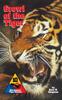 Книга Growl of the Tiger : 10th Armored Tiger Division