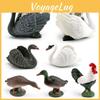 Realistic Figures Animal Model With Ducks Rooster Swans For Display Decorative