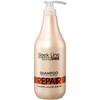 Stapiz SilkInfusion Repair Shampoo - Премиальная формула для омоложения волос 1000 мл