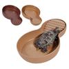 Reptile Bathing Pool Tortoise Food And Water Feeder Bowl with Ramp Reptile