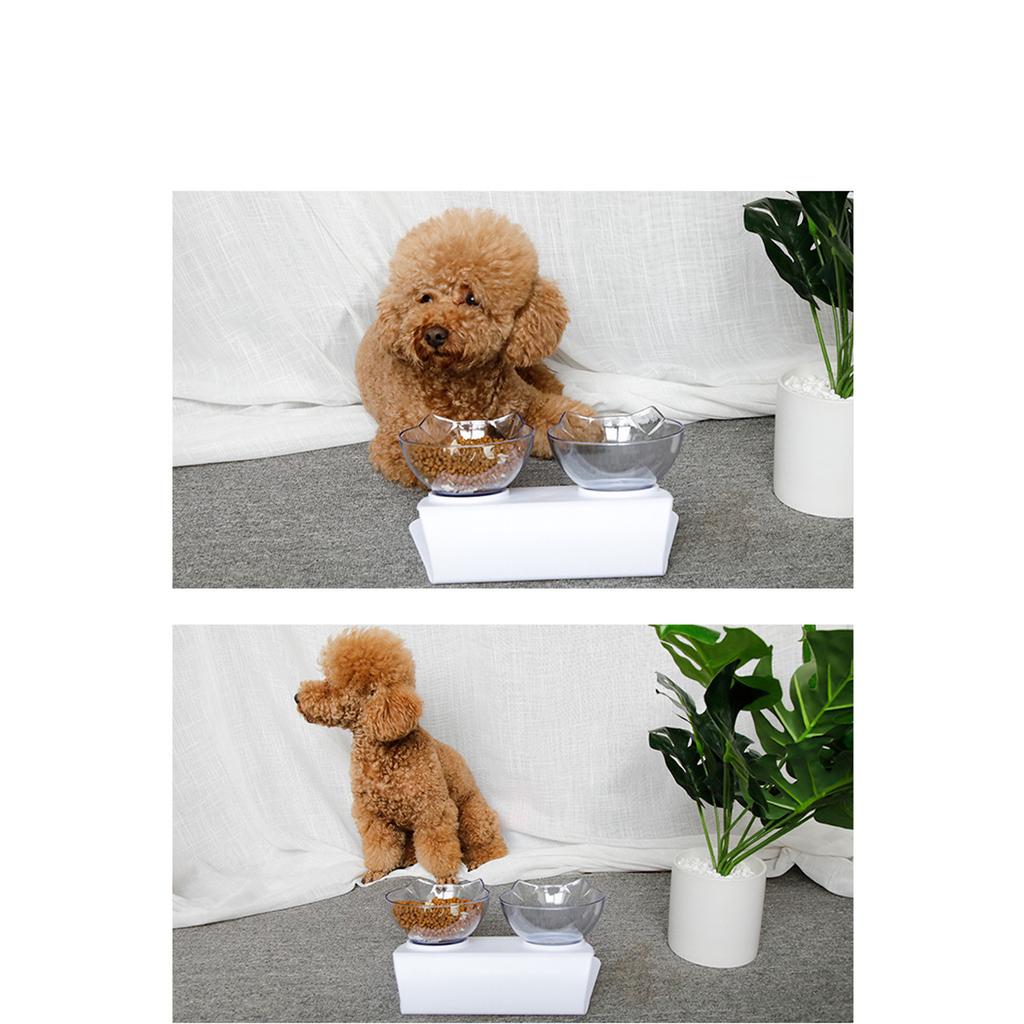 Миска для кошек, ортопедическая противоскользящая миска для домашних животных, прозрачная кормушка для домашних животных с двойной чашей