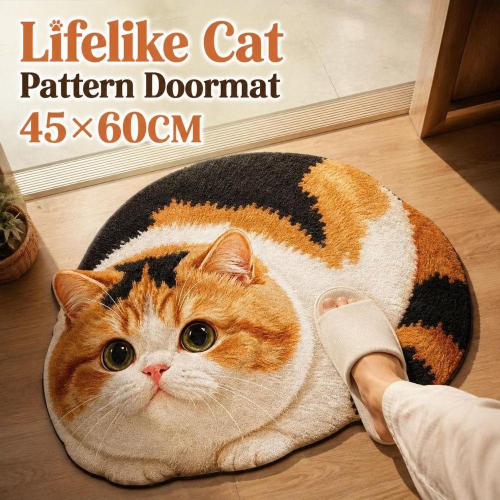 3D коврик для пола с кошкой из диатомитовой земли 45×60 см Коврик для двери в спальню Креативный ковер для ванной Комнатный декор