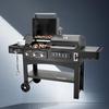 Beifu Multifunctional Gas & Charcoal BBQ Grill Smoker