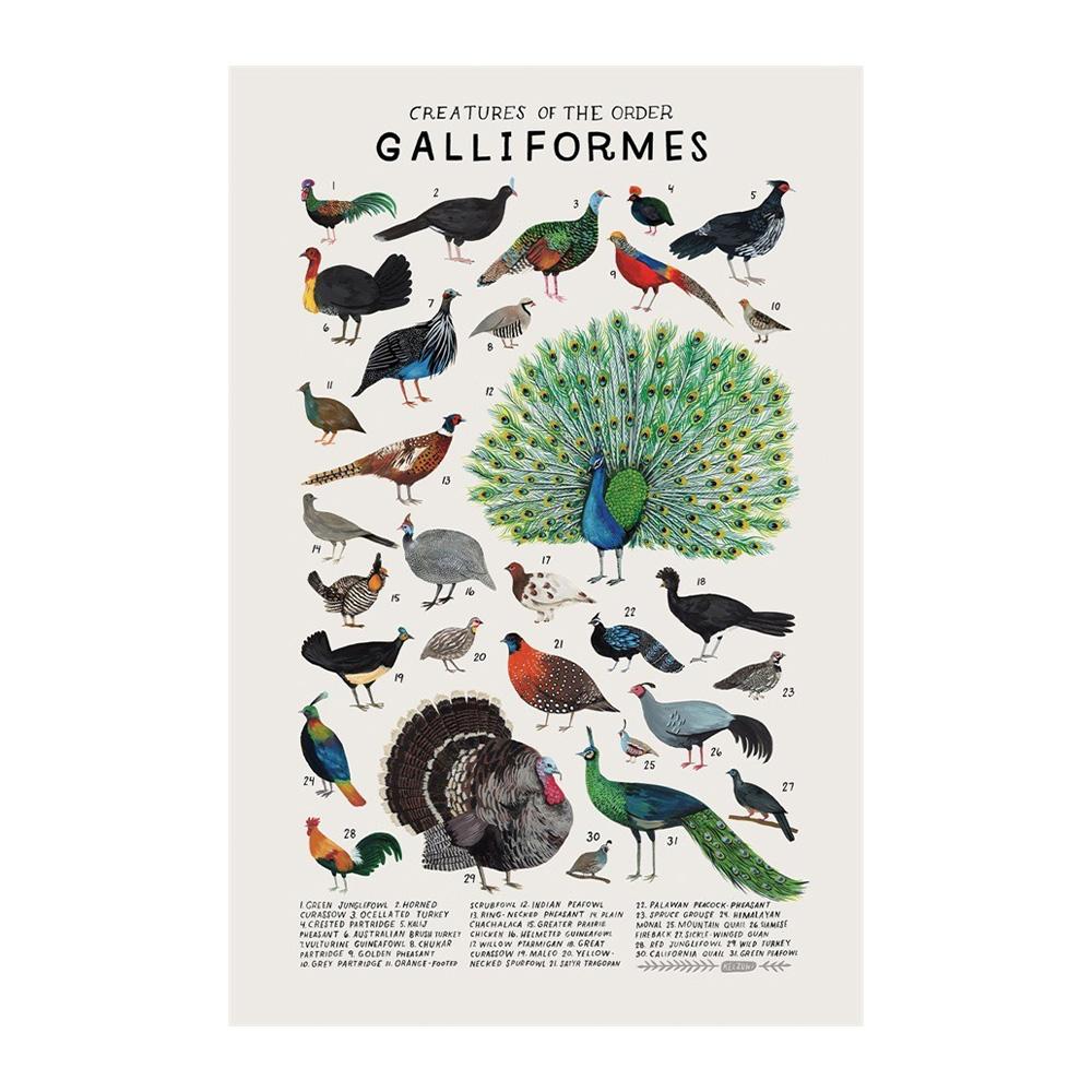 Абстрактные морские организмы медузы киты кальмары рыбы постеры холст картины и принты настенное искусство картина для комнаты домашний декор