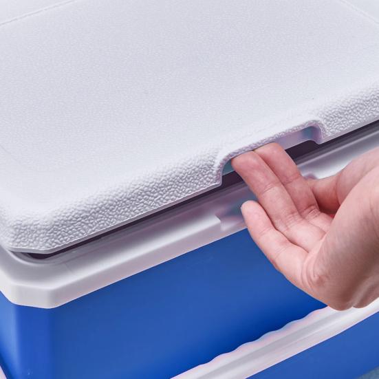 Портативный кемпинговый холодильник 3л, коробка для хранения продуктов, большая емкость, автомобильное ведро для льда, уличный холодильник, оборудование для кемпинга, барбекю