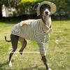 Autumn and Winter Cashmere Belly Four-legged Clothing Fabric Soft and Warm Little Greyhound Whippet Bellington Terrier Clothes