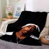 1 шт. Плед в стиле Hip Hop 2Pac, Мягкий, Легкий, Для всех сезонов, Многоцелевой плед для дивана, кровати, офиса и пикников, Французский стиль с культовыми обложками альбомов и цитатами