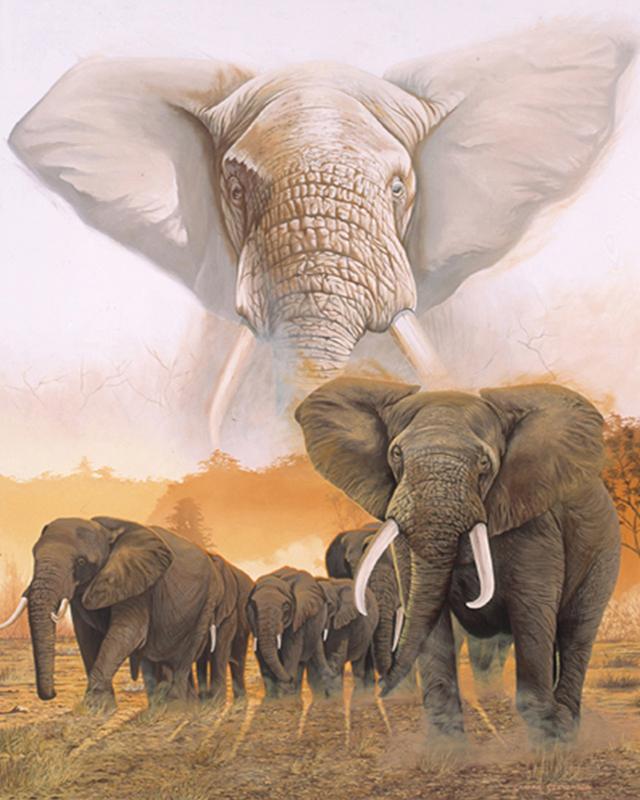 5D Алмазная вышивка Слон Полный квадратный круглый вышивка крестиком Алмазная картина Животное Мозаика Рукоделие Украшение дома