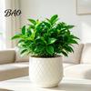 Durable PE Plant Holders for Home Decor Large Flower Pot with Rhombus Embossed Texture, Heavy Duty Planter Easy Clean Planters Porch Patio Indoor