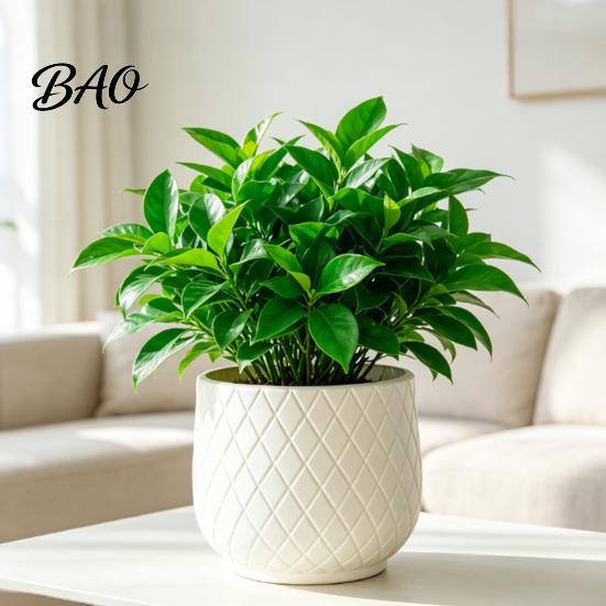 Durable PE Plant Holders for Home Decor Large Flower Pot with Rhombus Embossed Texture, Heavy Duty Planter Easy Clean Planters Porch Patio Indoor