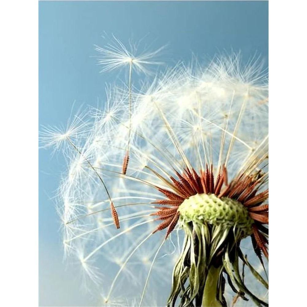 Алмазная картина, полная дрель, белый волк, цветок, животное, алмазная живопись, ручная работа, пейзаж, сделай сам, алмазная мозаика, картина, украшение дома