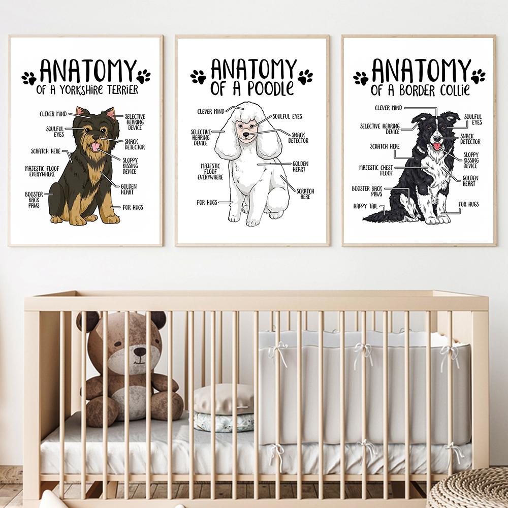 Холст с анатомией животных, постер, бордер-колли, йоркширский терьер, принт, современный зоомагазин, стена больницы