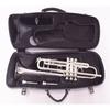 Vivace Trumpet Case, Polycarbonate Exterior, Color: Satin Black