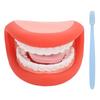 Mouth Puppet with Tongue Teeth Model Brush for Speech Remedy Boys Girls Educational Tools