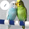 2 шт. Текстурированные когтерезы для птиц Стойка Натуральные керамические насесты для ухода за попугаями и кореллами