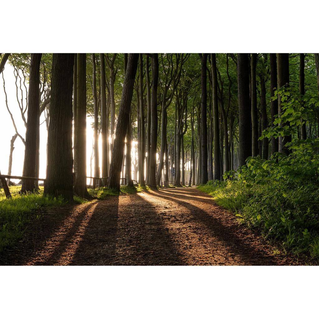 Tamron 18-300mm F3.5-6.3 Di III-A VC VXD Lens for Fujifilm X-Mount [B061X] - All-in-One Zoom Lens