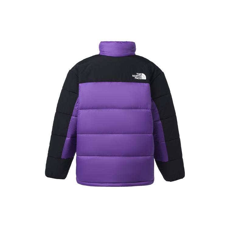 The North Face Мужская пуховая куртка фиолетовая NF0A7RCX-NL4