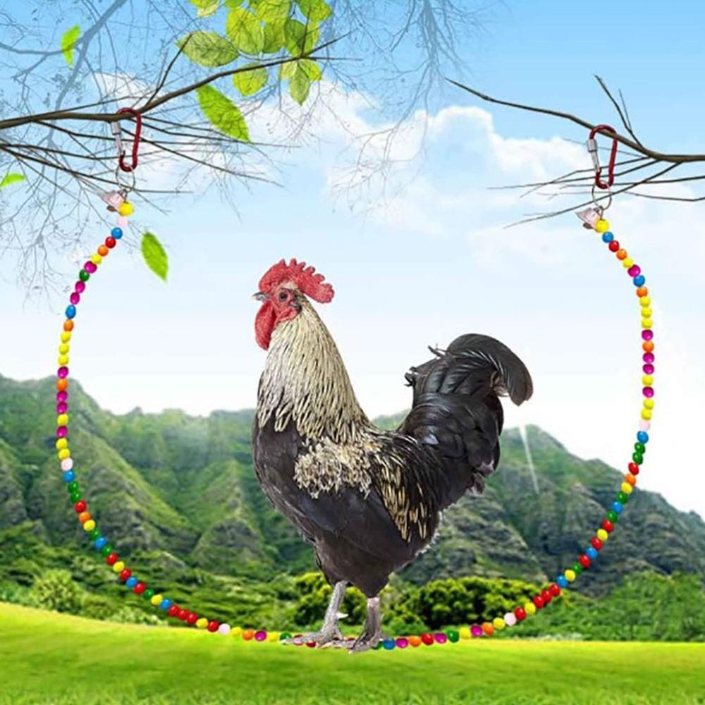 Metal Chain & Hooks Chicken Perch Stand Handmade Wood Chicken Swing Toy Cage Interior