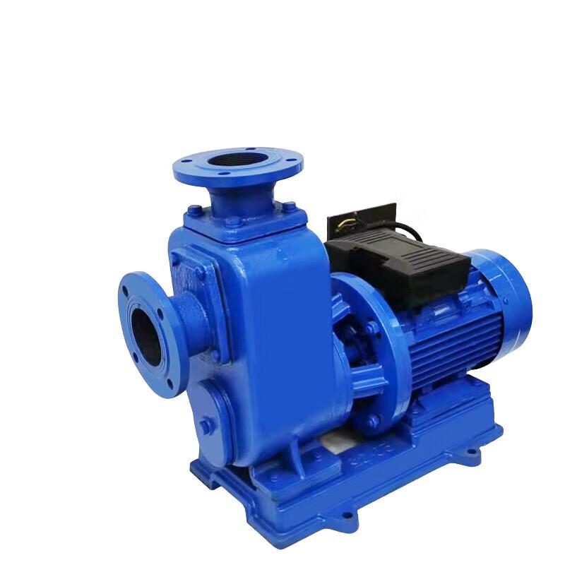 Nuoshuer 24V 1.5-inch Electric High Flow Oil Transfer Pump CN plug (adapter included)