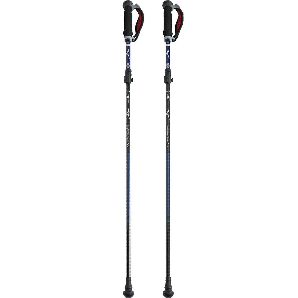 MIZUNO Nordic Walking Walking Poles Alkerne of Short C3JTPD20 4A-1 (Pair 2), Unisex, Violet, Type,