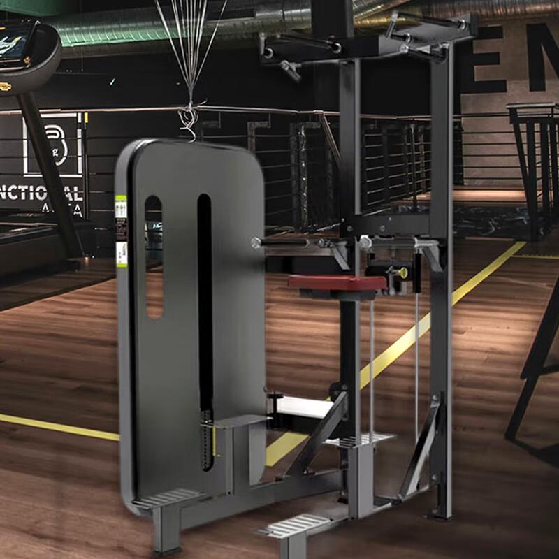 Power Wing Commercial Dip & Pull-up Assist Machine