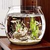Plastic Fish Bowls Round Clear Goldfish Bowl Multi-functional Aquarium Hydroponic Planter