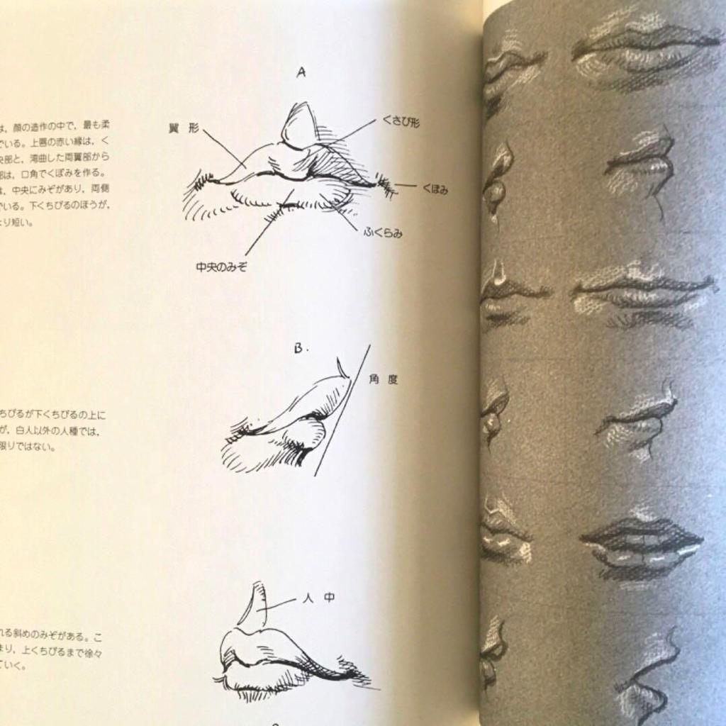 [ИСПОЛЬЗОВАННЫЙ] Рисунок фигуры 430 Разрезы Структура Основная схема скелета Объяснение Иллюстрация Обнаженная натура