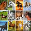 DIY Horse 5D Diamond Painting Full Round Drill Animal Diamond Embroidery Cross Stitch Mosaic Wall Art Rhinestones Home Decor