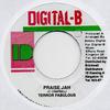 7-дюймовая пластинка TERROR FABULOUS Praise Jah none DigitalB 1995 Ямайка Регги Ска Даб Б/у