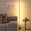 Floor Atmosphere Lamp Modern Nordic Minimalist LED Light Living Room Bedroom Remote Control Luxury Standing Lights