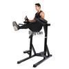 Multifunctional Parallel Bars Dip Station