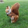 Model Toys Dolls Squirrel Plush Doll Animal Plush Toys Squirrel Stuffed Toys Simulation Squirrel